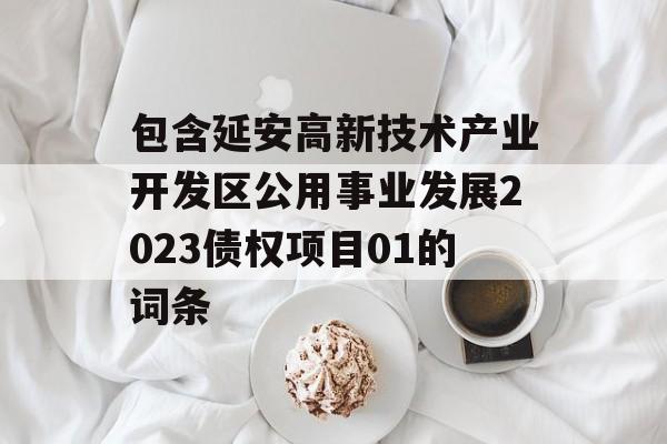 包含延安高新技术产业开发区公用事业发展2023债权项目01的词条