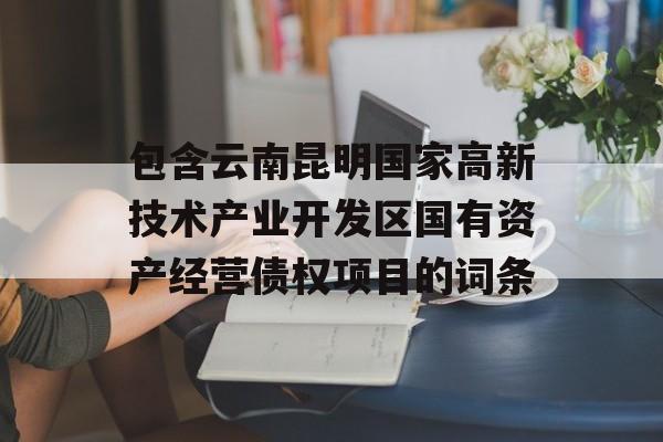 包含云南昆明国家高新技术产业开发区国有资产经营债权项目的词条