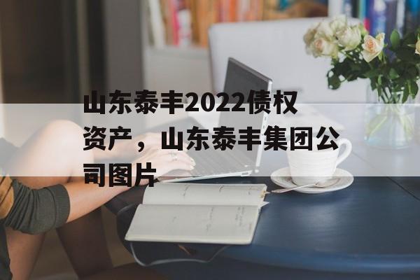 山东泰丰2022债权资产，山东泰丰集团公司图片