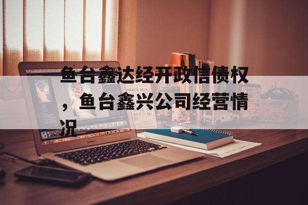 鱼台鑫达经开政信债权，鱼台鑫兴公司经营情况