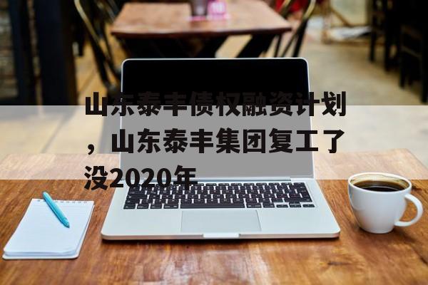 山东泰丰债权融资计划，山东泰丰集团复工了没2020年