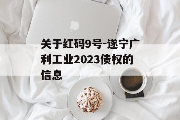 关于红码9号-遂宁广利工业2023债权的信息