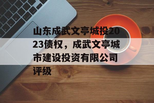 山东成武文亭城投2023债权，成武文亭城市建设投资有限公司 评级