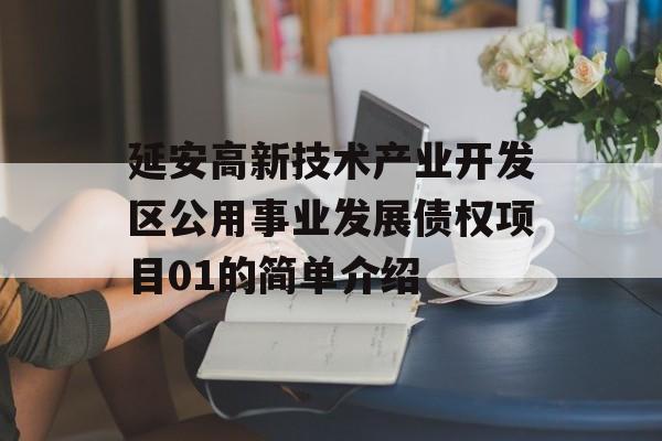 延安高新技术产业开发区公用事业发展债权项目01的简单介绍