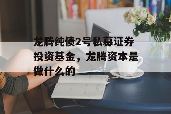 龙腾纯债2号私募证券投资基金，龙腾资本是做什么的