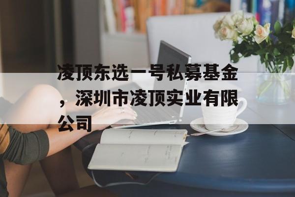 凌顶东选一号私募基金，深圳市凌顶实业有限公司