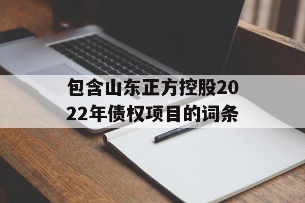 包含山东正方控股2022年债权项目的词条