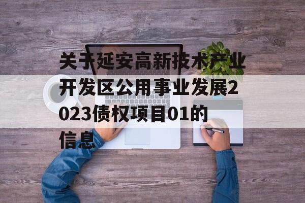 关于延安高新技术产业开发区公用事业发展2023债权项目01的信息