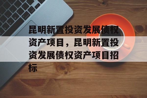 昆明新置投资发展债权资产项目，昆明新置投资发展债权资产项目招标