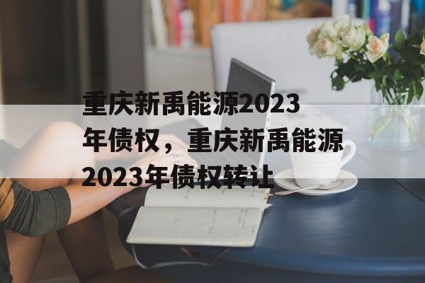 重庆新禹能源2023年债权，重庆新禹能源2023年债权转让