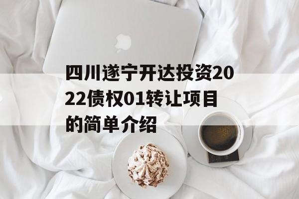 四川遂宁开达投资2022债权01转让项目的简单介绍