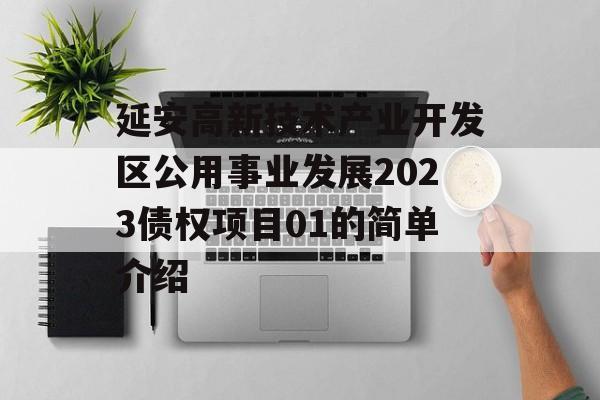 延安高新技术产业开发区公用事业发展2023债权项目01的简单介绍