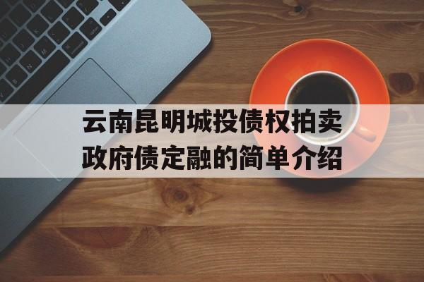 云南昆明城投债权拍卖政府债定融的简单介绍