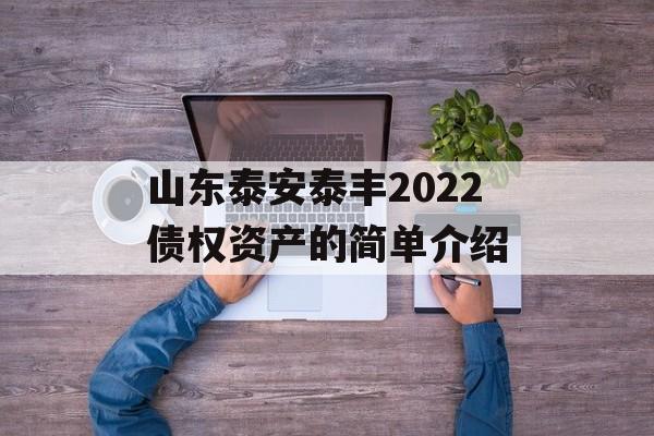 山东泰安泰丰2022债权资产的简单介绍