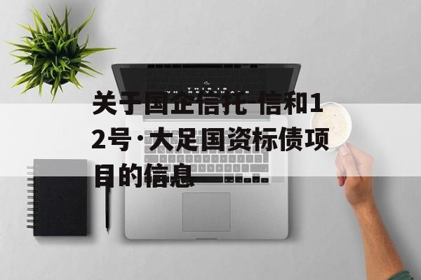 关于国企信托-信和12号·大足国资标债项目的信息