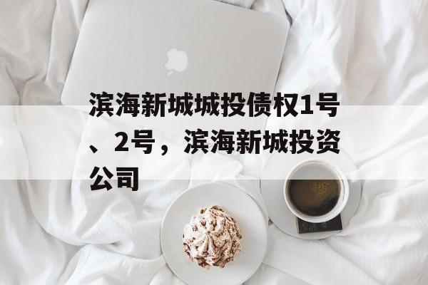 滨海新城城投债权1号、2号，滨海新城投资公司