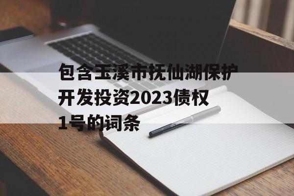 包含玉溪市抚仙湖保护开发投资2023债权1号的词条