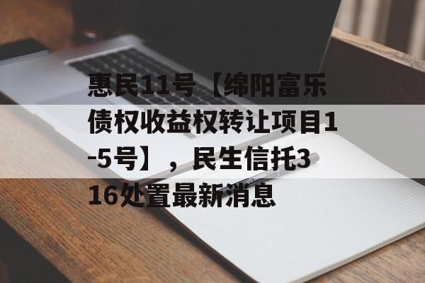 惠民11号【绵阳富乐债权收益权转让项目1-5号】，民生信托316处置最新消息