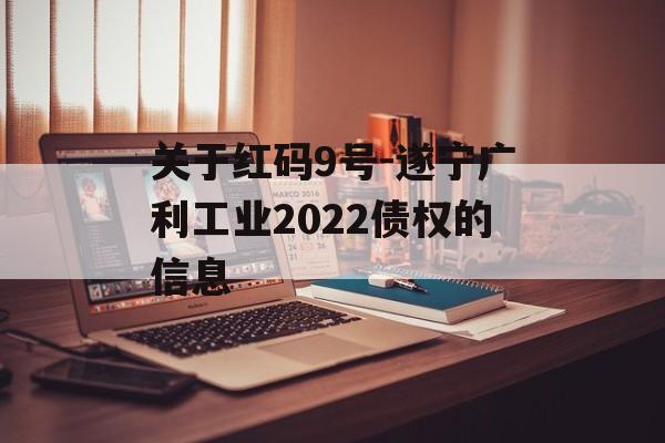 关于红码9号-遂宁广利工业2022债权的信息