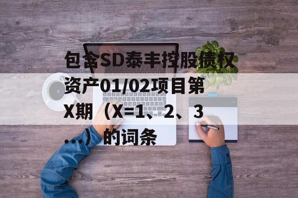 包含SD泰丰控股债权资产01/02项目第X期（X=1、2、3...）的词条