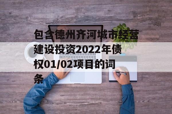 包含德州齐河城市经营建设投资2022年债权01/02项目的词条