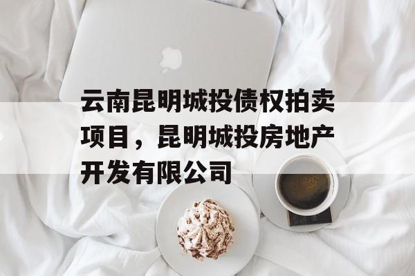 云南昆明城投债权拍卖项目，昆明城投房地产开发有限公司