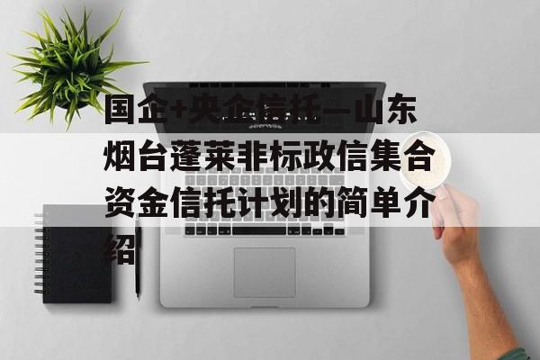 国企+央企信托—山东烟台蓬莱非标政信集合资金信托计划的简单介绍