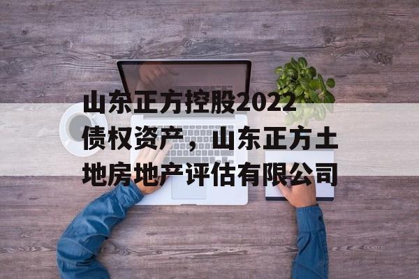 山东正方控股2022债权资产，山东正方土地房地产评估有限公司