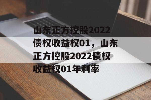 山东正方控股2022债权收益权01，山东正方控股2022债权收益权01年利率