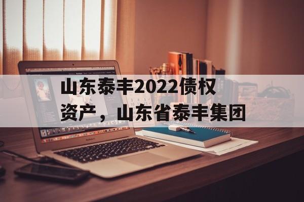 山东泰丰2022债权资产，山东省泰丰集团