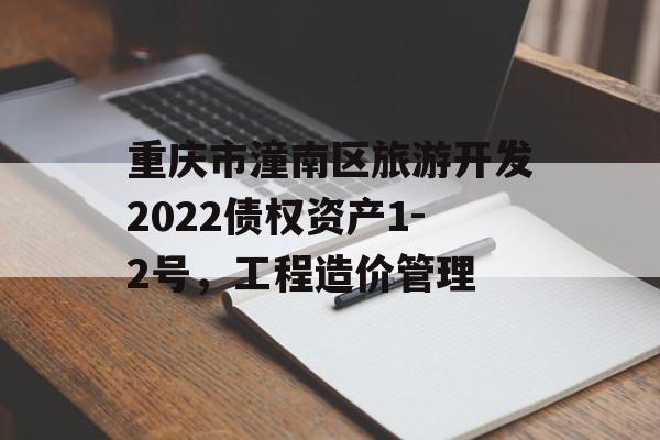 重庆市潼南区旅游开发2022债权资产1-2号，工程造价管理