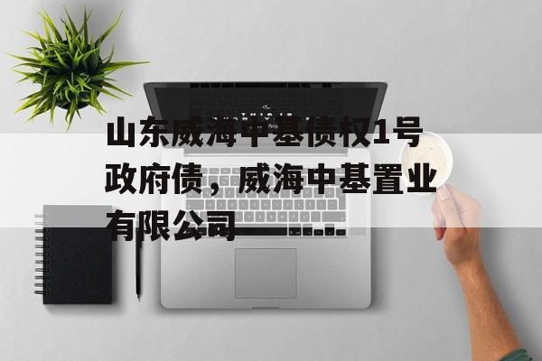 山东威海中基债权1号政府债，威海中基置业有限公司