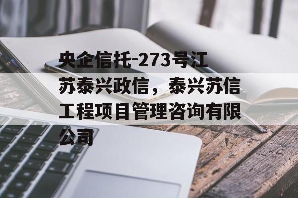 央企信托-273号江苏泰兴政信，泰兴苏信工程项目管理咨询有限公司