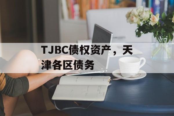 TJBC债权资产，天津各区债务