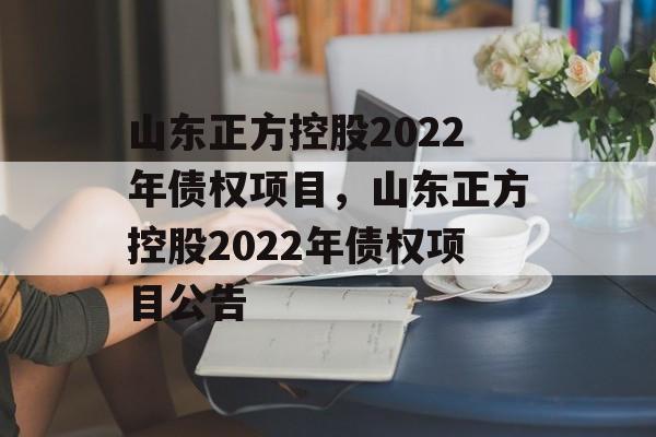 山东正方控股2022年债权项目，山东正方控股2022年债权项目公告