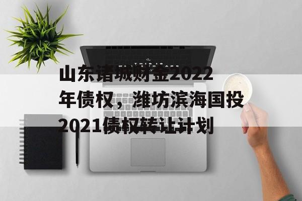 山东诸城财金2022年债权，潍坊滨海国投2021债权转让计划