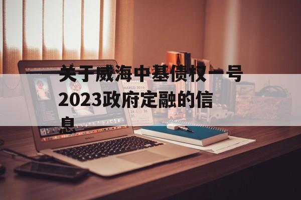 关于威海中基债权一号2023政府定融的信息