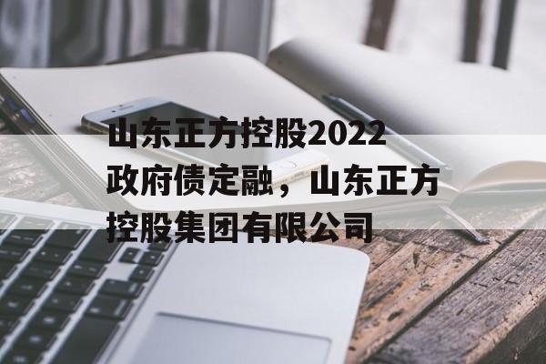 山东正方控股2022政府债定融，山东正方控股集团有限公司