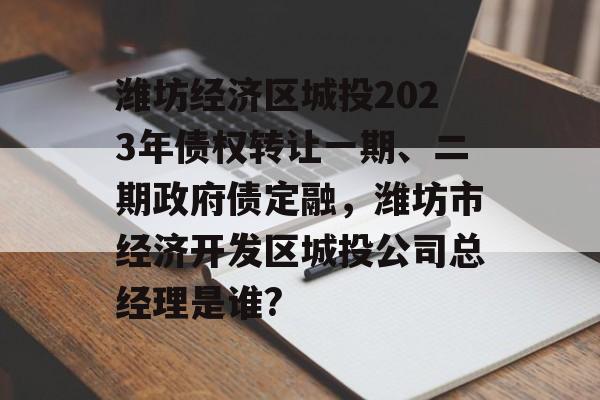 潍坊经济区城投2023年债权转让一期、二期政府债定融，潍坊市经济开发区城投公司总经理是谁?