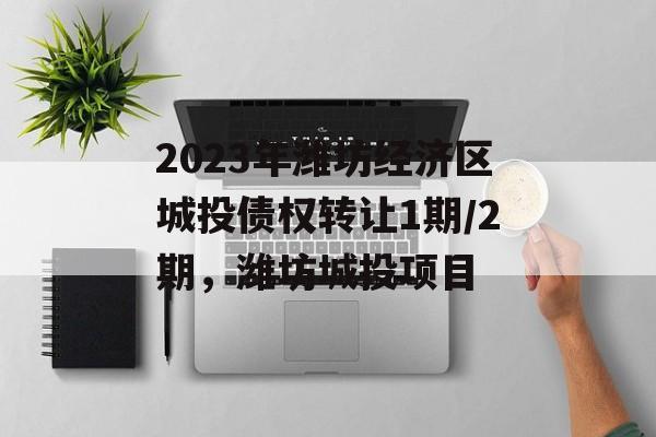 2023年潍坊经济区城投债权转让1期/2期，潍坊城投项目