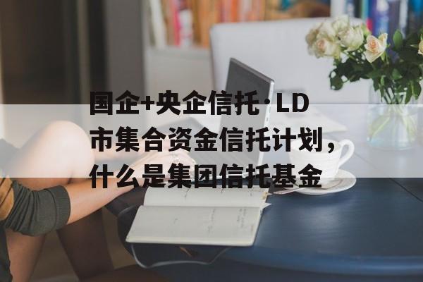 国企+央企信托·LD市集合资金信托计划，什么是集团信托基金