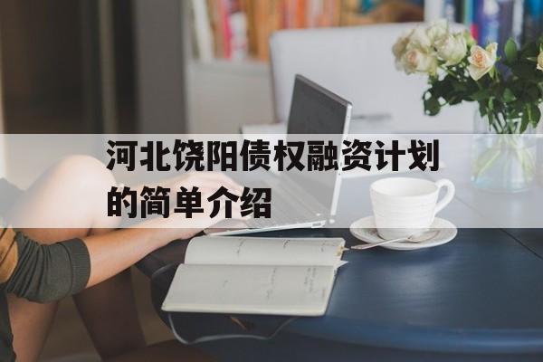 河北饶阳债权融资计划的简单介绍