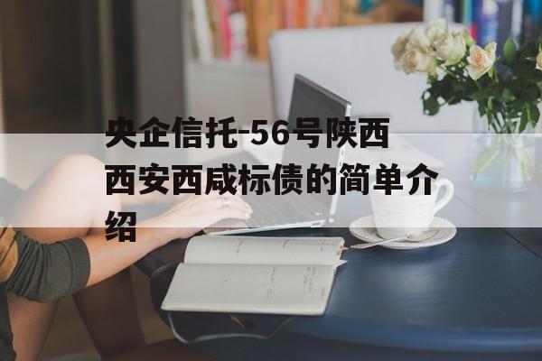 央企信托-56号陕西西安西咸标债的简单介绍