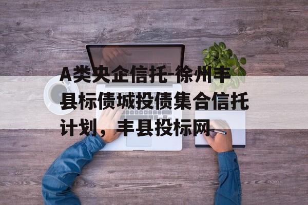 A类央企信托-徐州丰县标债城投债集合信托计划，丰县投标网