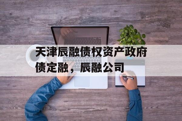 天津辰融债权资产政府债定融，辰融公司