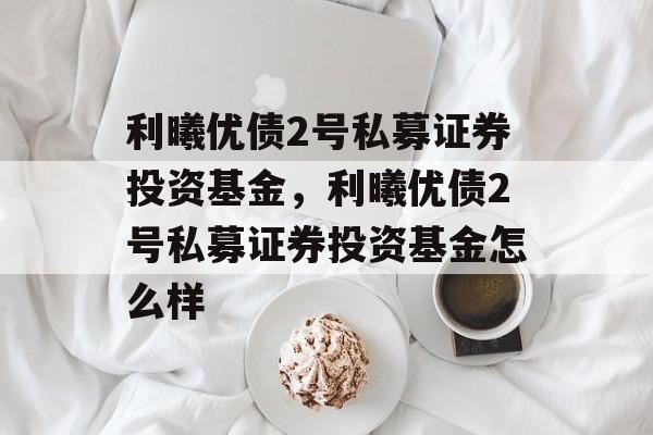 利曦优债2号私募证券投资基金，利曦优债2号私募证券投资基金怎么样