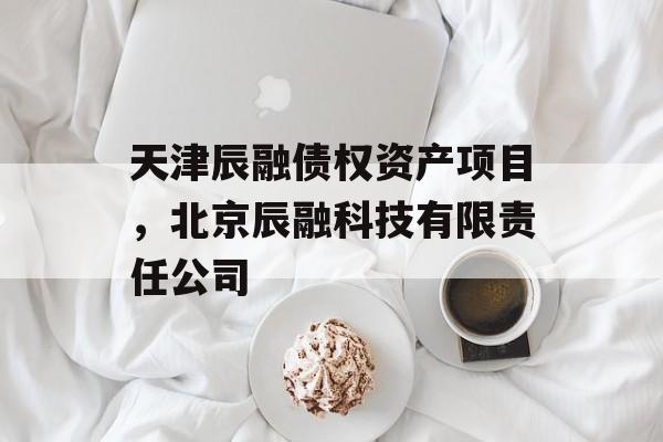 天津辰融债权资产项目，北京辰融科技有限责任公司