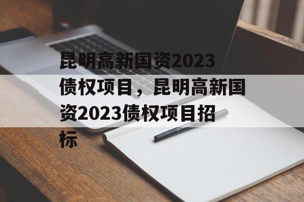 昆明高新国资2023债权项目，昆明高新国资2023债权项目招标