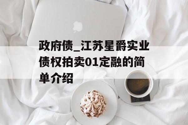 政府债_江苏星爵实业债权拍卖01定融的简单介绍