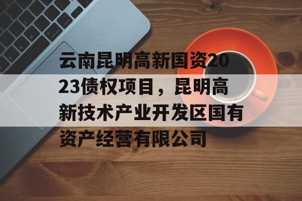 云南昆明高新国资2023债权项目，昆明高新技术产业开发区国有资产经营有限公司